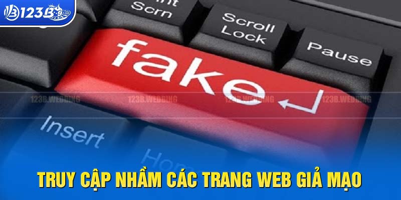 Người dùng vào nhầm các trang web giả mạo khác