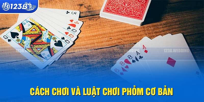 Một ván Phỏm sẽ có từ 2 cho đến tối đa là 4 người