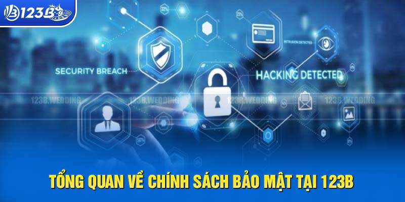 Dữ liệu đầu về chính sách bảo mật 123B