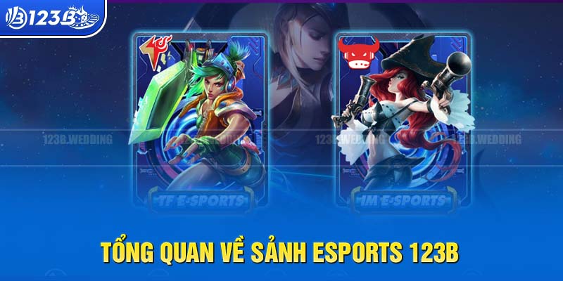 Đôi nét về sảnh Esports 123B