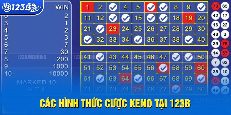 Các cửa cược thịnh hành nhất trong Keno